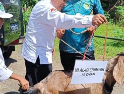 Bikin Haru Warga! Ini Alasan MI Al Nashiriyah Moga Mendadak Serbu Dukuh Tegal Harja Jelang Idul Adha