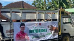 Anggota DPR RI Asal Boyolali Salurkan 23 Sapi dan 73 Kambing Kurban ke Empat Daerah Dapil