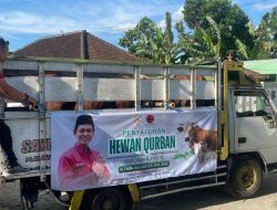 Anggota DPR RI Asal Boyolali Salurkan 23 Sapi dan 73 Kambing Kurban ke Empat Daerah Dapil