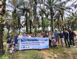 Ribuan Petani Sawit Sungai Bahar Siap Bertransformasi, Adopsi Pertanian Regeneratif Menuju Kebun Berkelanjutan