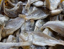 Harga Ikan Asin Melonjak, Kapasan Tembus Rp200 Ribu per Kilogram di Pasar Kalibaru