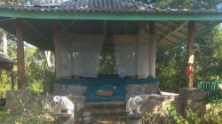 Trah Aning Patih Buka Dokumen Sejarah Selogiri, Desak Pengakuan Hak Adat dan Pelestarian Hutan Banyuwangi