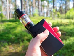 MUI Jatim Terbitkan Fatwa soal Vape, Soroti Modus Baru Penyalahgunaan Narkotika