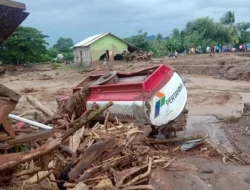 Gempa M 7,7 dan Tsunami Terjang NTT: 43 Orang Meninggal, 235 Kali Gempa Susulan