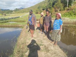 Kunjungi 12 Kampung, Kepala Distrik Paniai Barat Targetkan 63 Kolam Budidaya Ikan