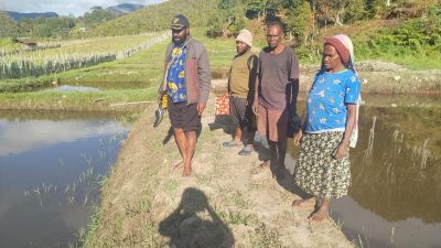 Kunjungi 12 Kampung, Kepala Distrik Paniai Barat Targetkan 63 Kolam Budidaya Ikan