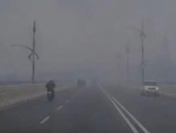 Waspada! Kabut Asap Selimuti Kepri, Kualitas Udara Masuk Kategori Tidak Sehat
