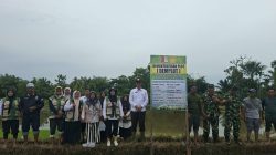 Petani Nagan Raya Makin Modern! BPP Pulo Ie Gelar Demplot Padi Metode PM-AAS