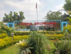 Viral Tiket Umbul Brondong, Kades Ngrundul Buka Suara: CCTV Hanya Tunjukkan 1 Orang!