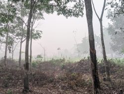 Kabut Asap di Kutai Barat Makin Tebal, Warga Desak Pemerintah Bergerak Cepat