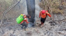 BNPB Pantau Karhutla di Kuningan, Ciamis, dan Grobogan, Api di TNGC Belum Sepenuhnya Padam