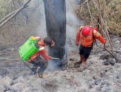 BNPB Pantau Karhutla di Kuningan, Ciamis, dan Grobogan, Api di TNGC Belum Sepenuhnya Padam