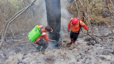 BNPB Pantau Karhutla di Kuningan, Ciamis, dan Grobogan, Api di TNGC Belum Sepenuhnya Padam